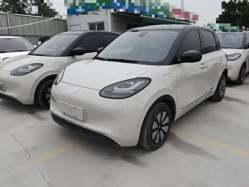 Wuling Bingo