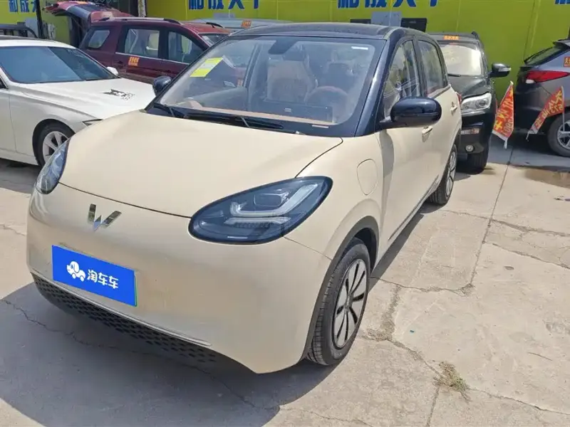 Wuling Bingo