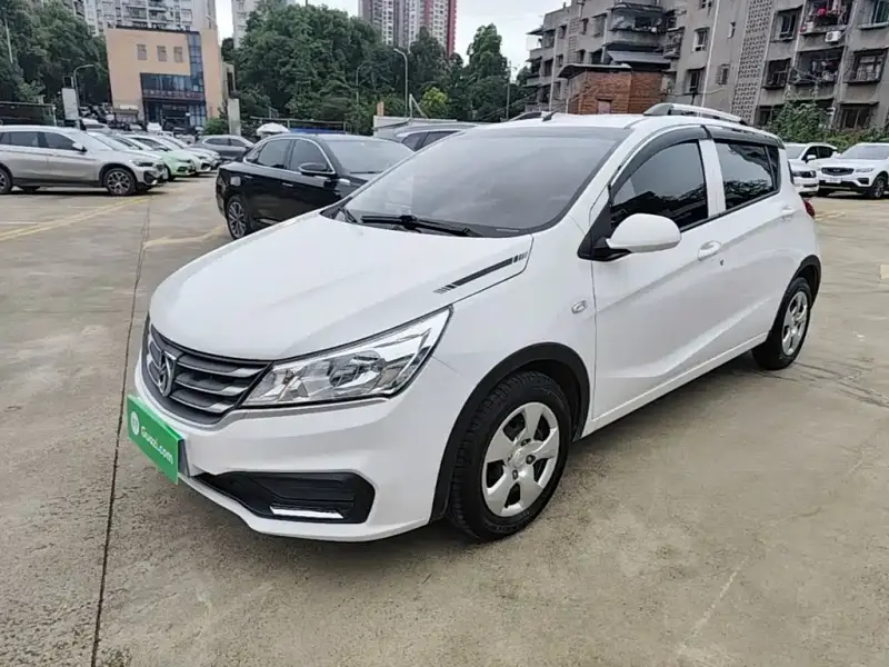 Baojun 310