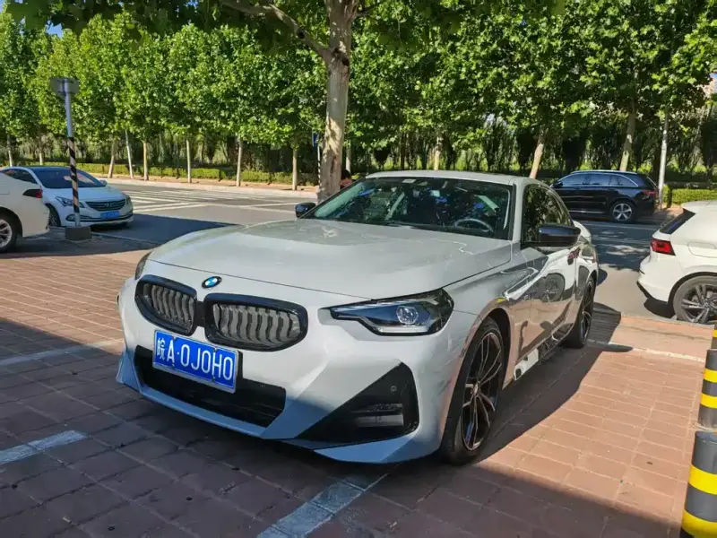 BMW 2 Series (Import)
