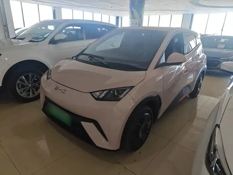 BYD Seagull