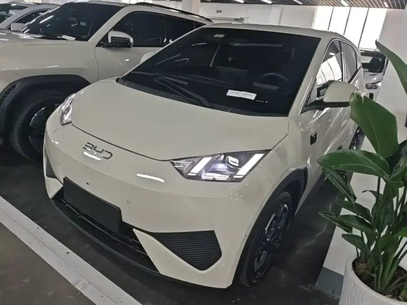 BYD Seagull