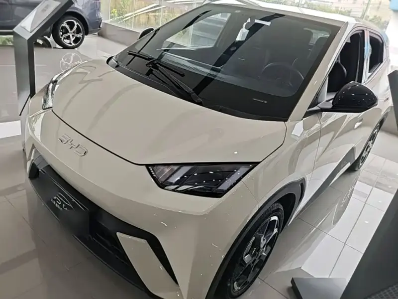 BYD Seagull