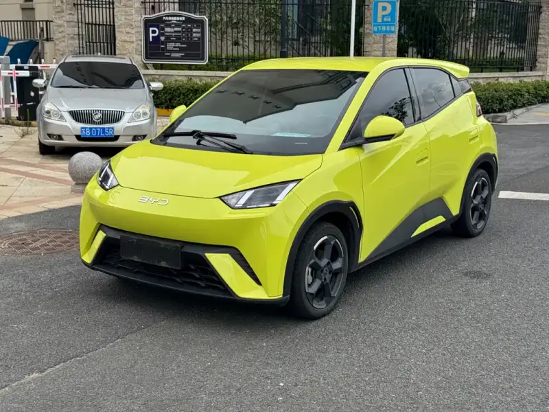 BYD Seagull