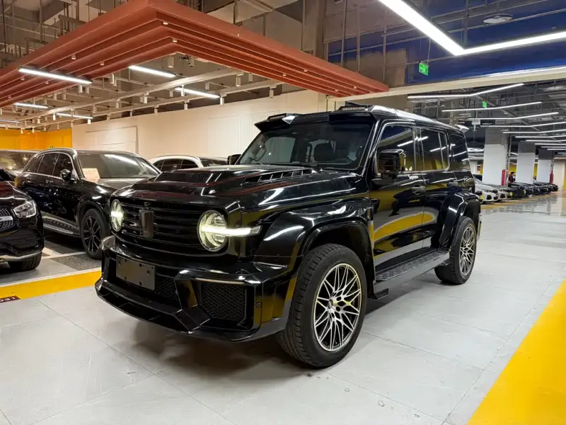 Tank 300