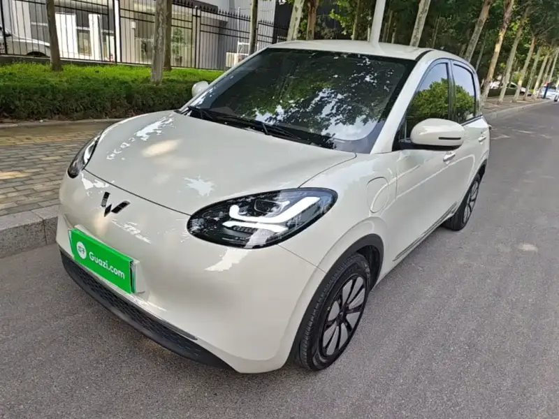 Wuling Bingo