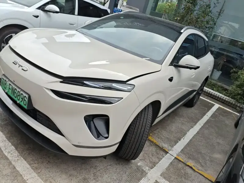 BYD Sea Lion 06