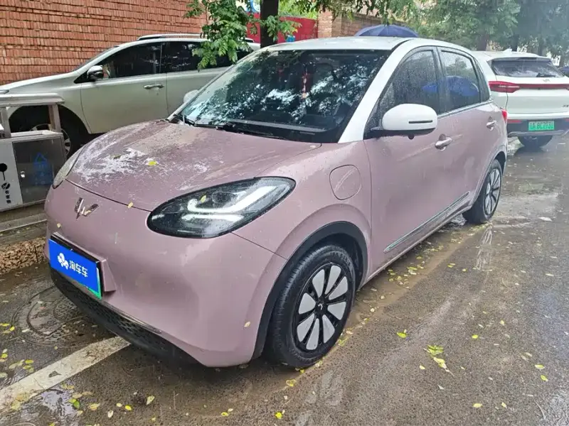 Wuling Bingo