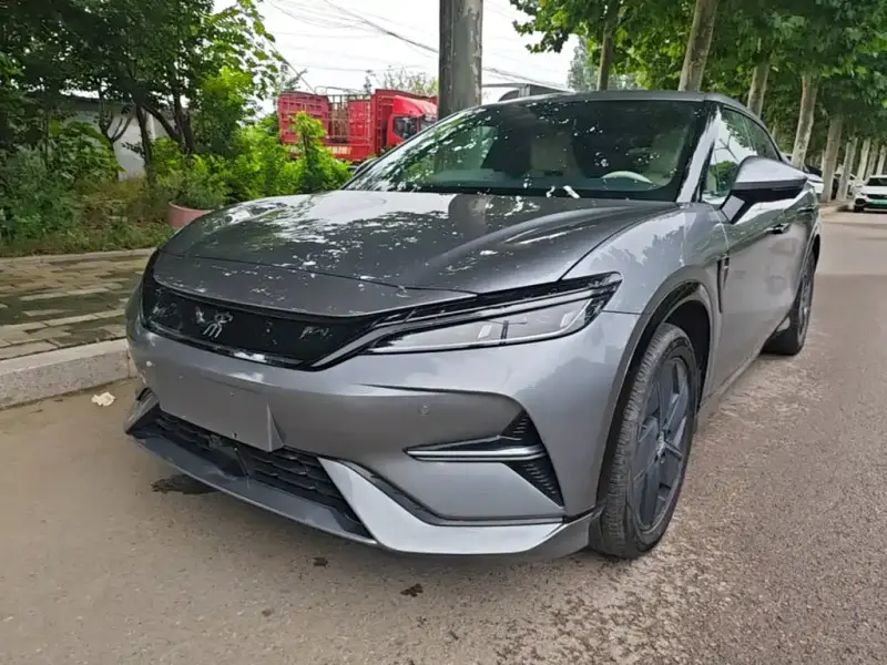 BYD L EV