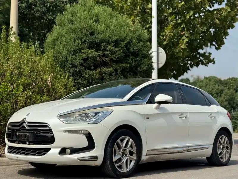 DS 5