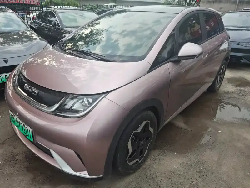 BYD Dolphin