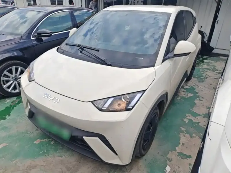 BYD Seagull