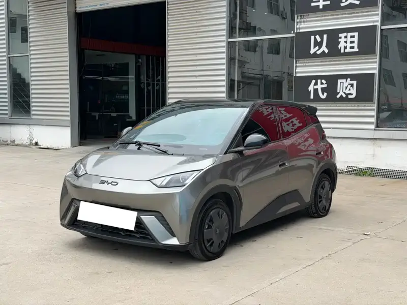 BYD Seagull