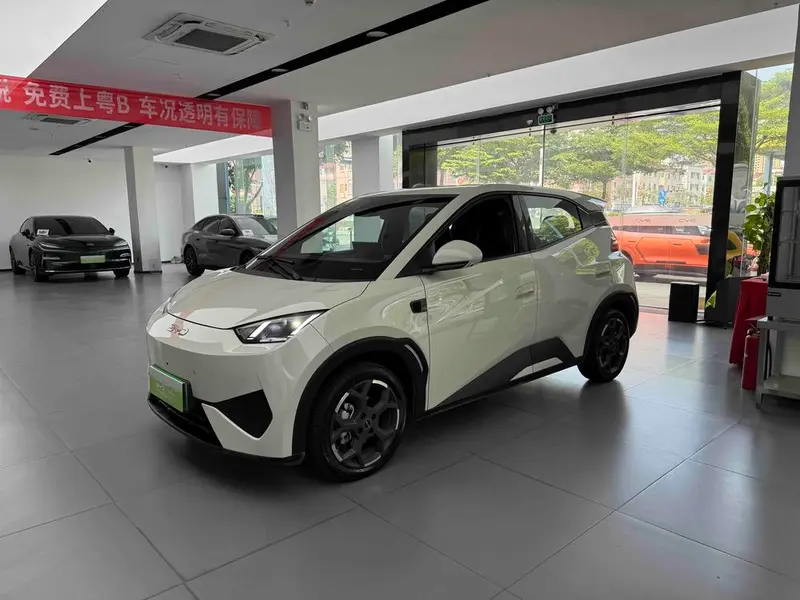 BYD Seagull
