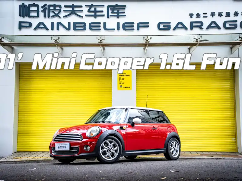 MINI Mini
