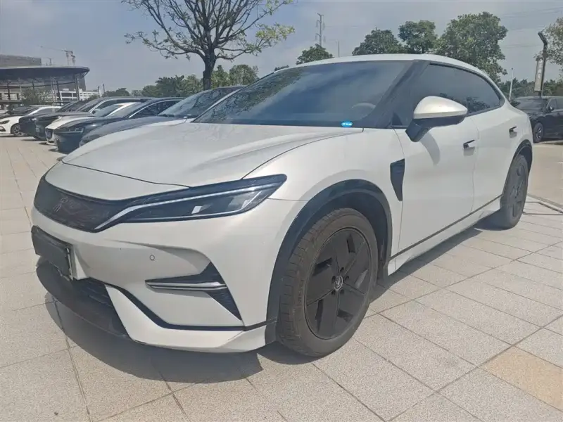 BYD L EV
