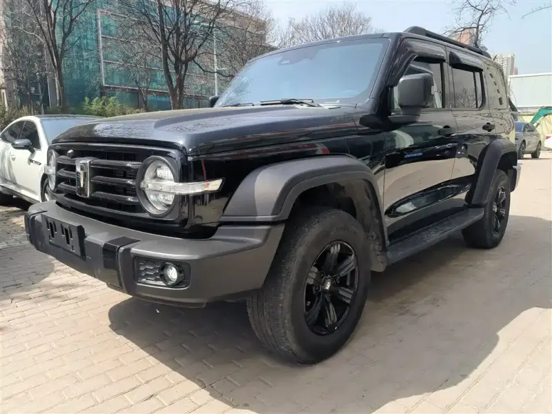 Tank 300