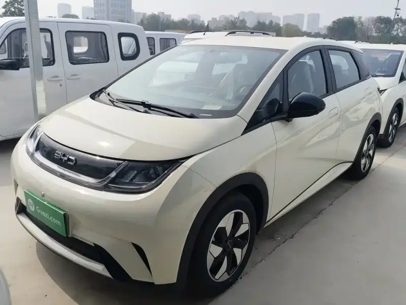BYD Dolphin