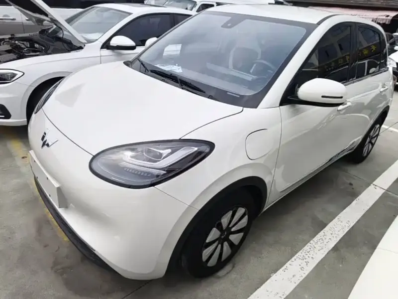 Wuling Bingo