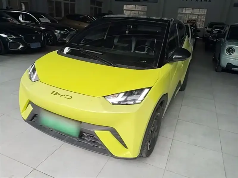 BYD Seagull