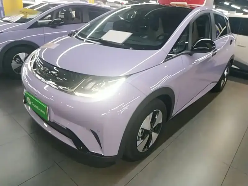 BYD Dolphin