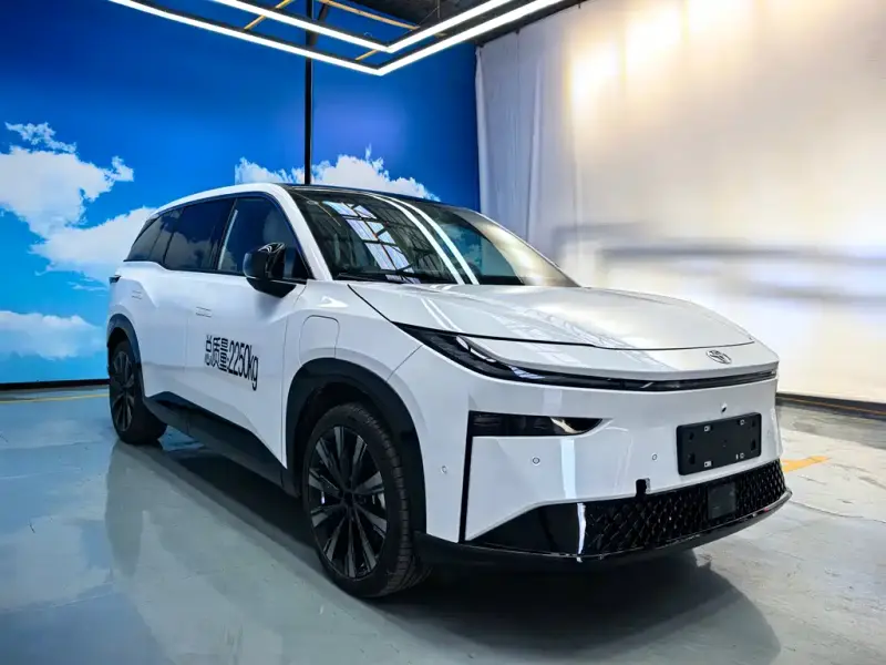Toyota Bozhi 3X