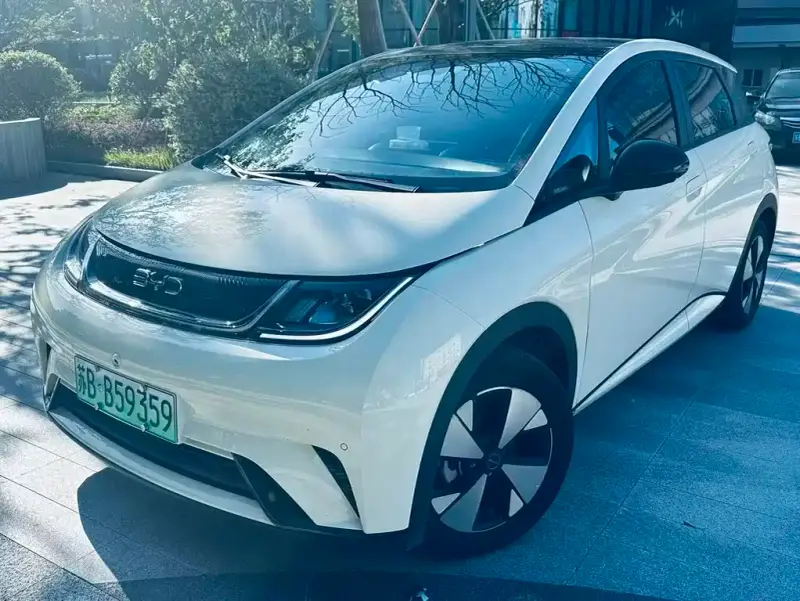 BYD Dolphin