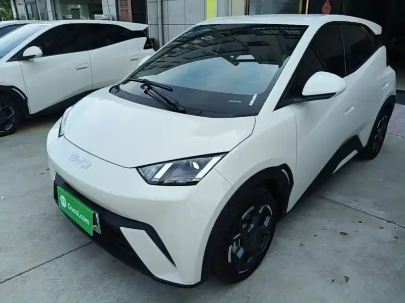 BYD Seagull