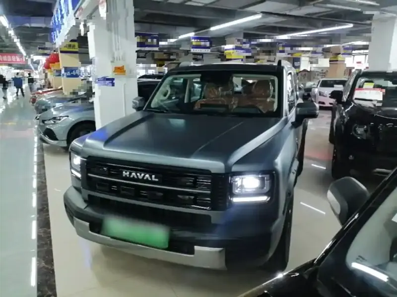 Haval Menglong New Energy