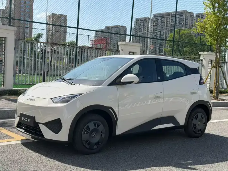 BYD Seagull