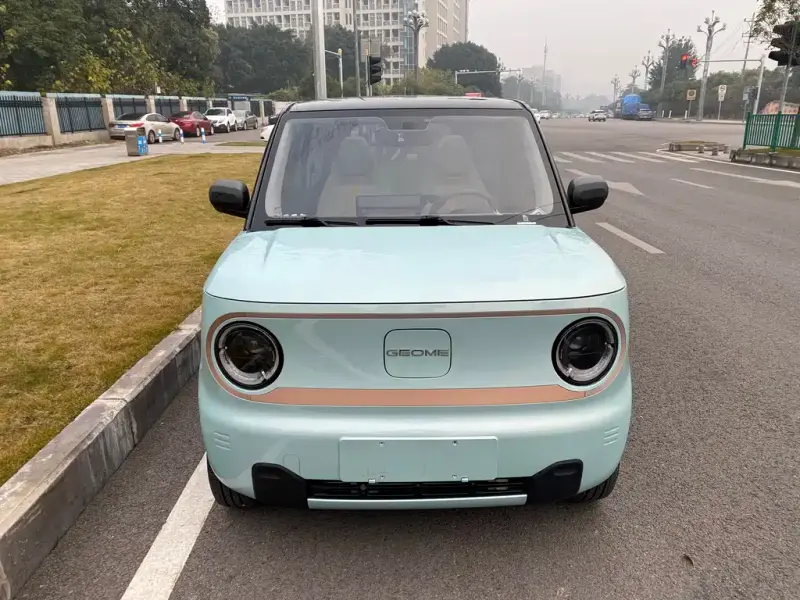 Galaxy Panda Mini (Panda)