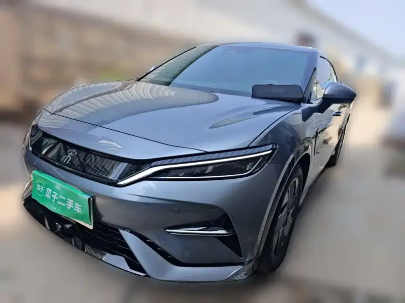BYD L EV