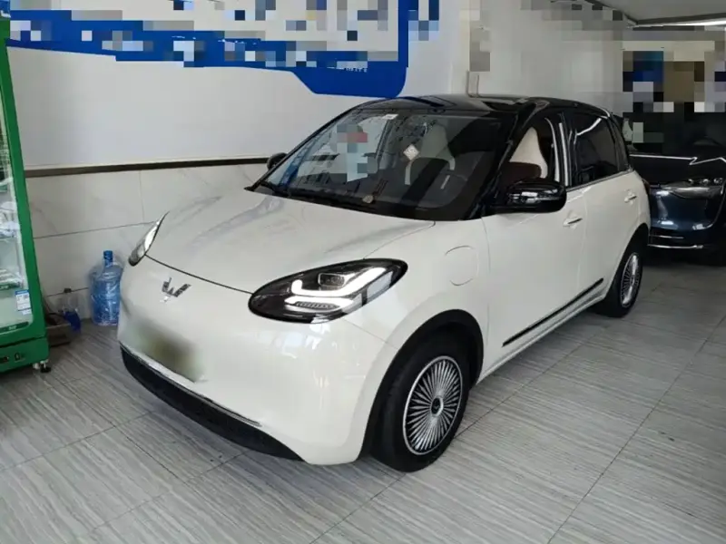 Wuling Bingo