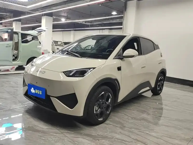 BYD Seagull