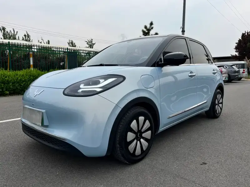 Wuling Bingo