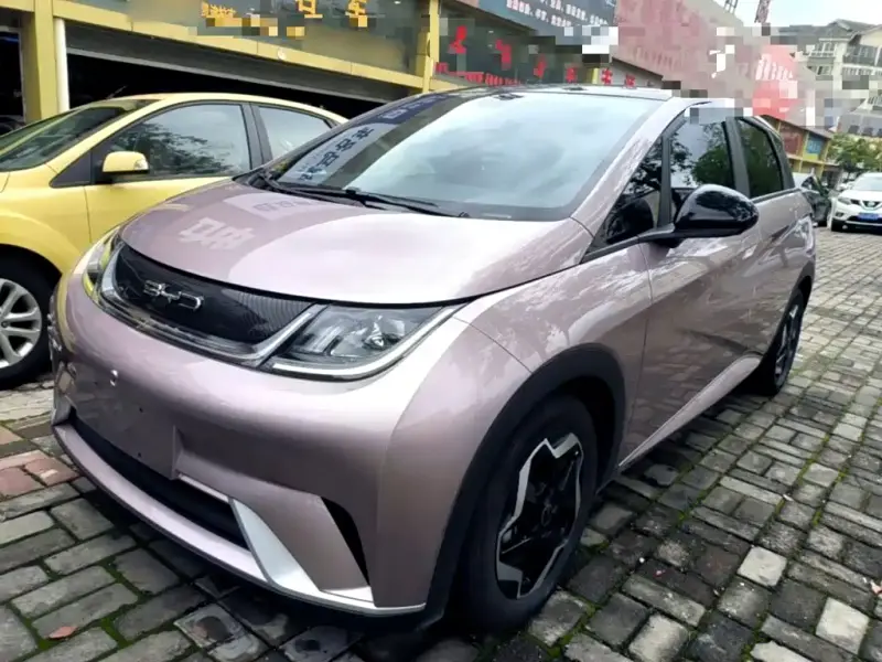 BYD Dolphin