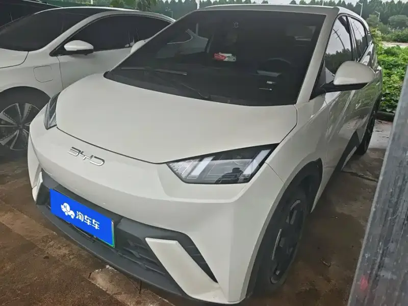 BYD Seagull