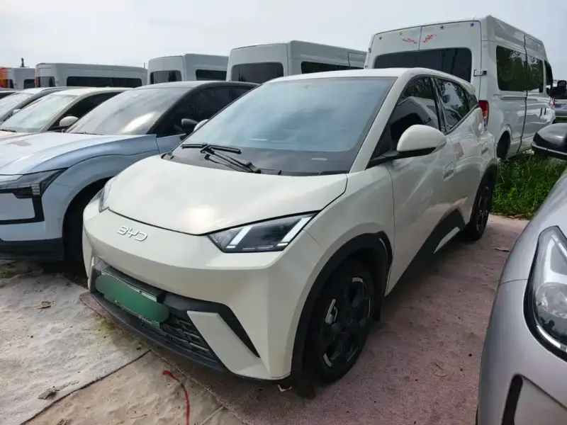 BYD Seagull