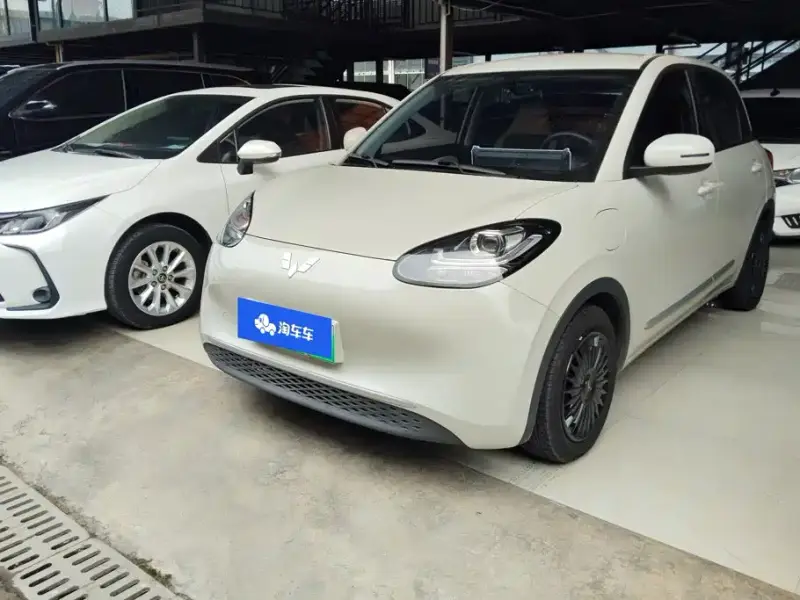 Wuling Bingo