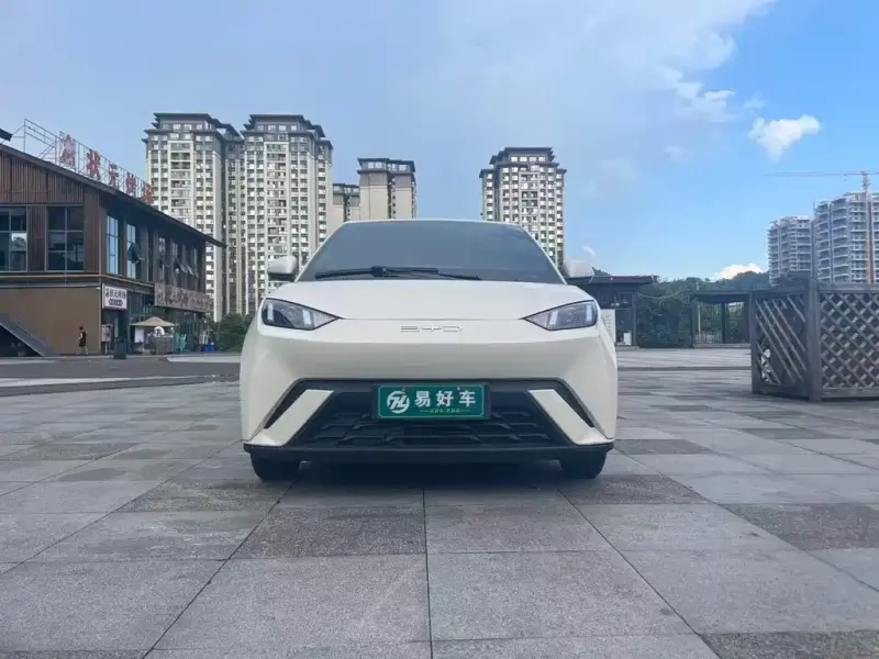 BYD Seagull