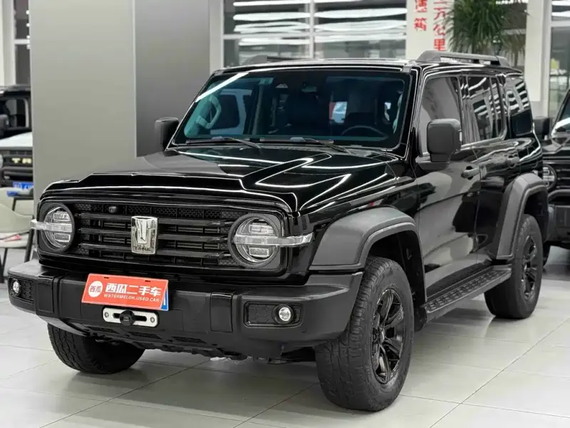 Tank 300