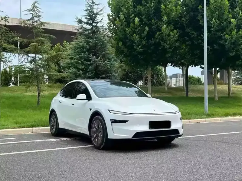 Tesla Model Y L