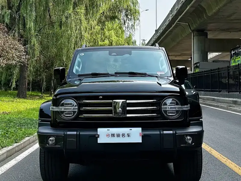 Tank 300