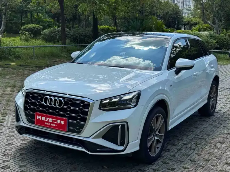 Audi Q2L