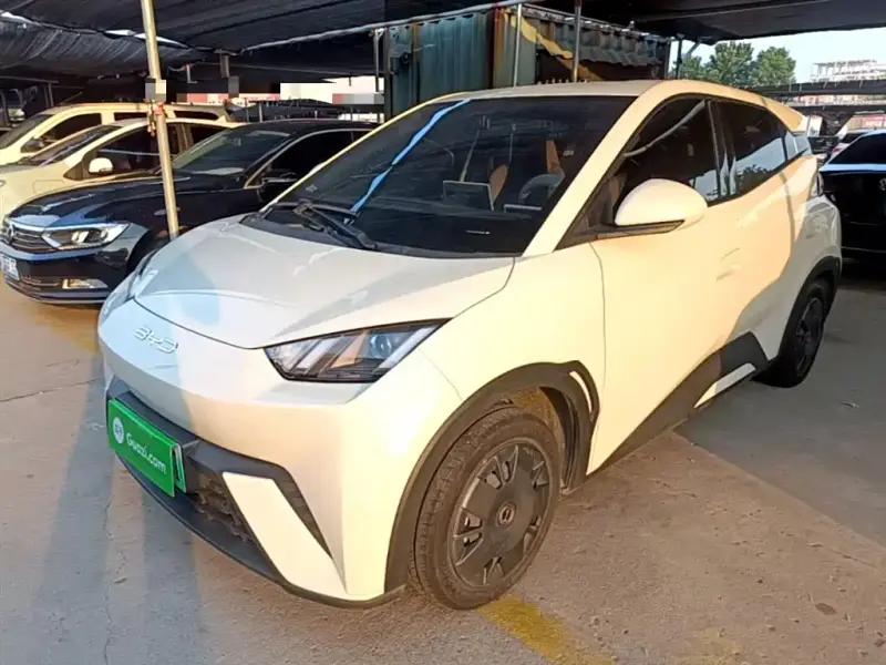 BYD Seagull