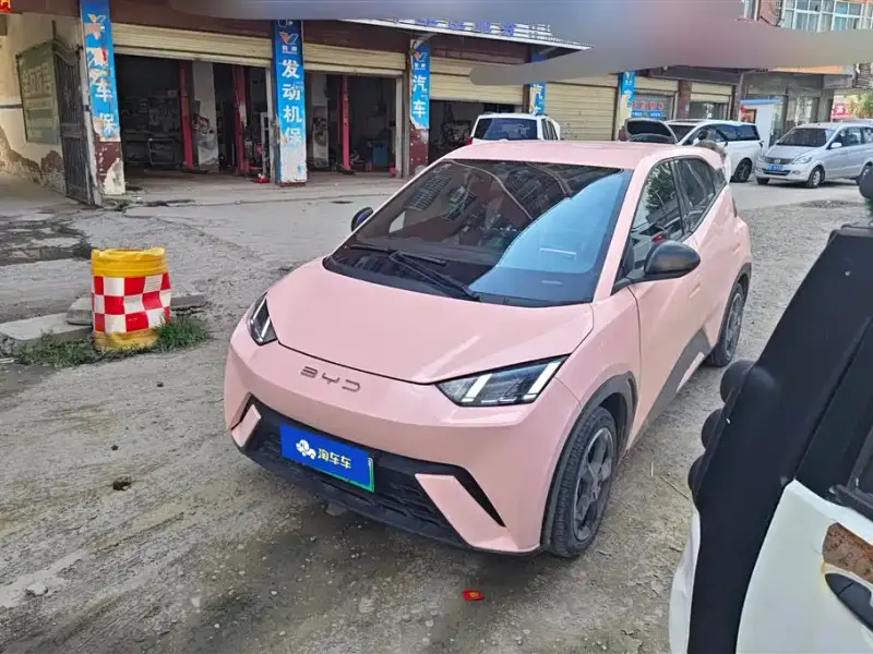 BYD Seagull