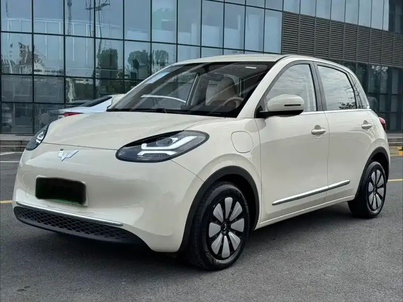 Wuling Bingo