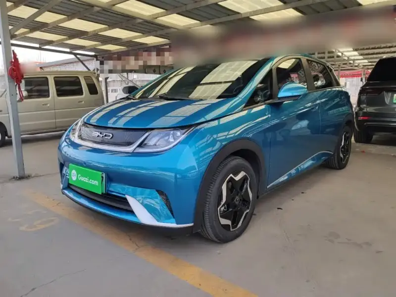 BYD Dolphin