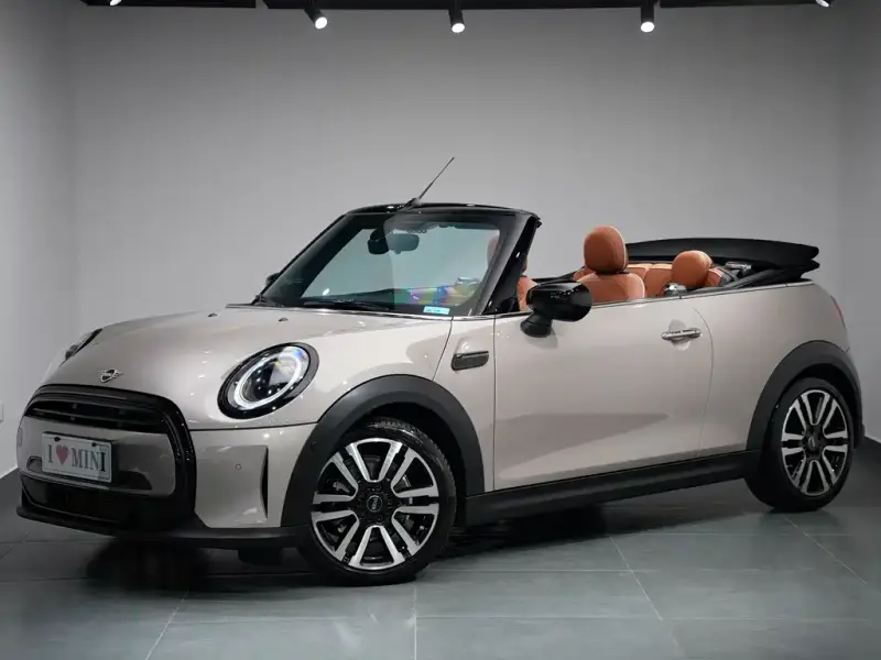 MINI Mini