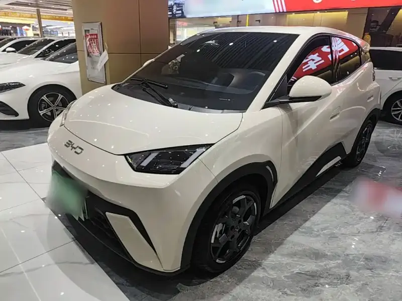BYD Seagull
